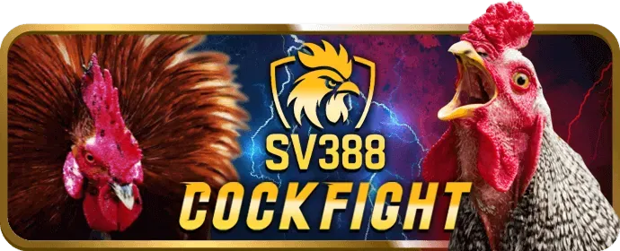 Các kênh hỗ trợ khách hàng đa dạng của Win55