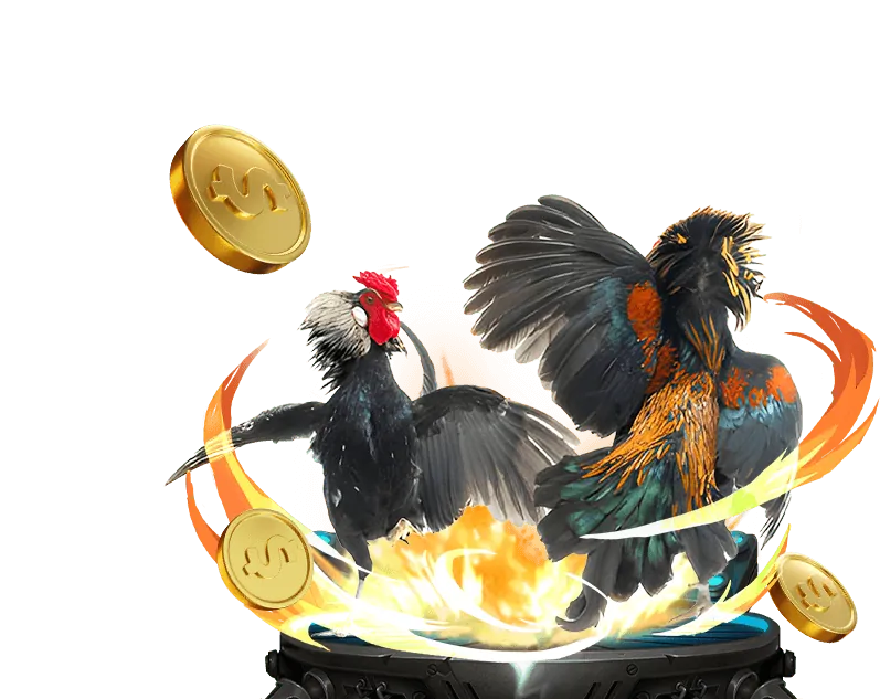 Banner khuyến mãi đá gà Win55